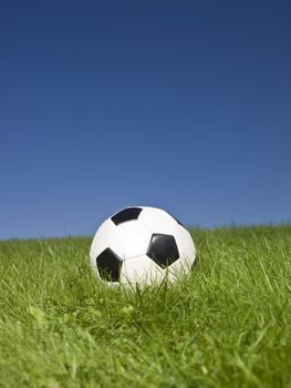 Black and white football in green grass.