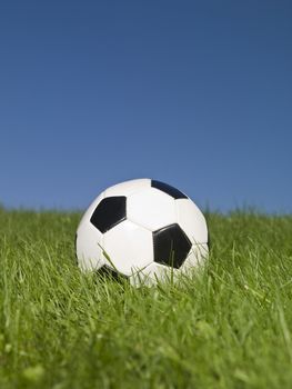 Black and white football in green grass.