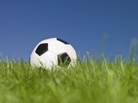 Black and white football in green grass.