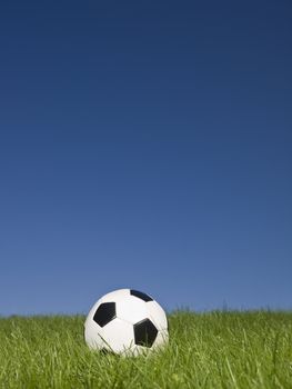 Black and white football in green grass.