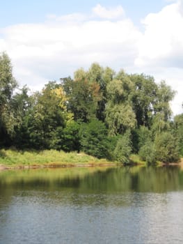 summer rural landscape with forest and river