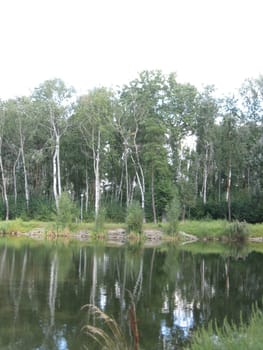 summer rural landscape with forest and river