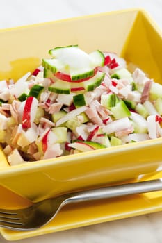 chicken salad with radishes and cucumber
