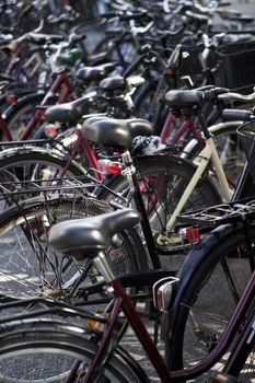 Bicycle parking