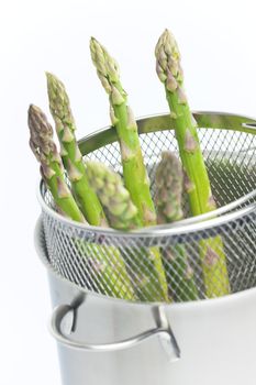 green asparagus in pot