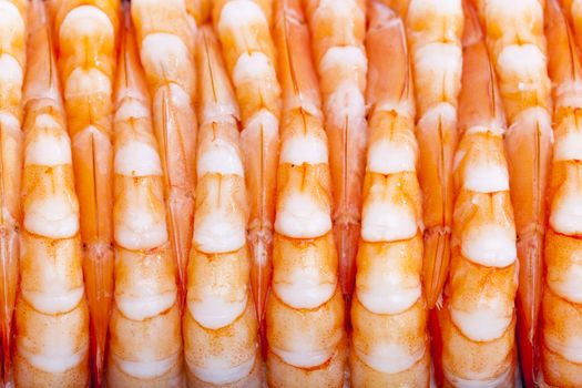 still life of raw prawns