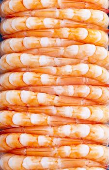 still life of raw prawns