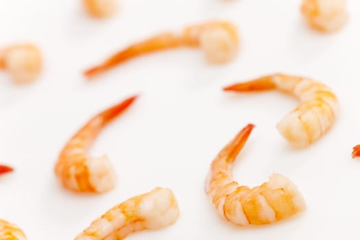 still life of raw prawns