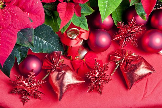 Christmas still life with Poinsettia
