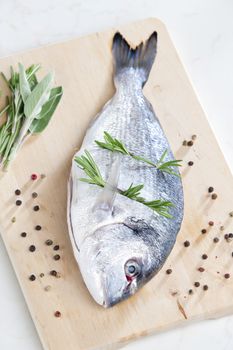 raw bream with herbs