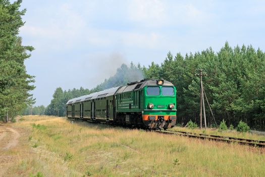 Passenger train passing through the forest
