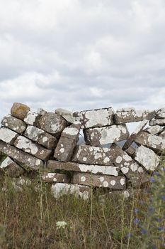 Stone wall in nature
