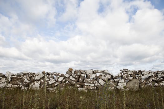 Stone Wall in nature