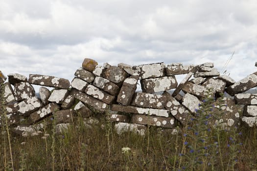 Stone wall in nature