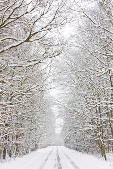 snowy road, Czech Republic
