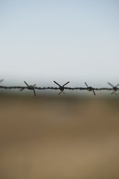 Barbed wire