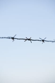 Barbed wire
