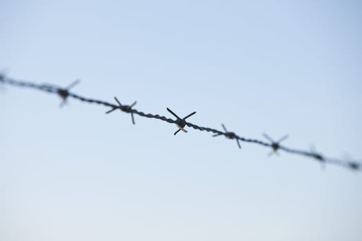 Barbed wire