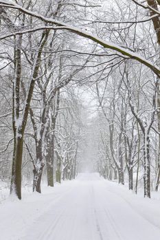 snowy road, Czech Republic