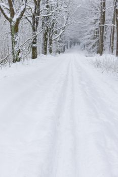 snowy road, Czech Republic