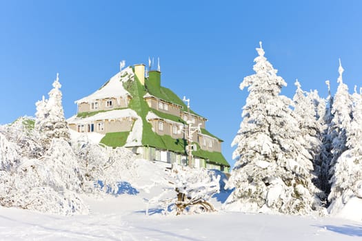 Masarykova Cottage, Orlicke Mountains in winter, Czech Republic