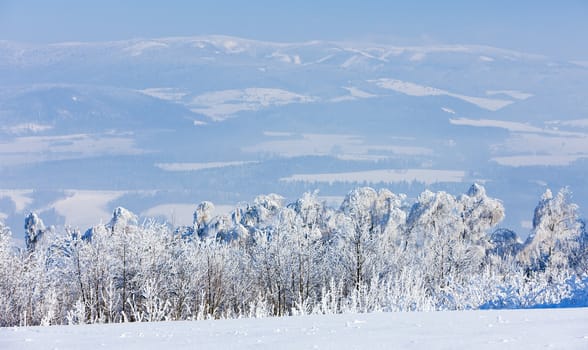 Jeseniky Mountains in winter, Czech Republic