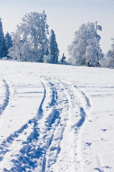 Orlicke Mountains in winter, Czech Republic