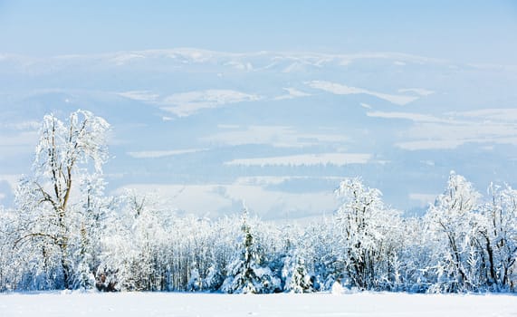 Jeseniky Mountains in winter, Czech Republic