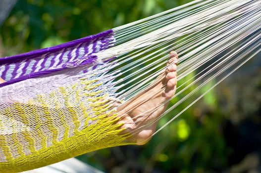 Women's feet in a colorful hammock. Fragment. Summer