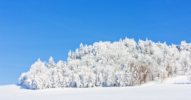 Jeseniky Mountains in winter, Czech Republic