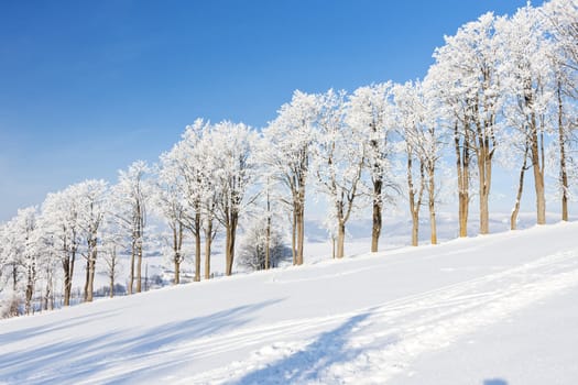winter landscape, Czech Republic