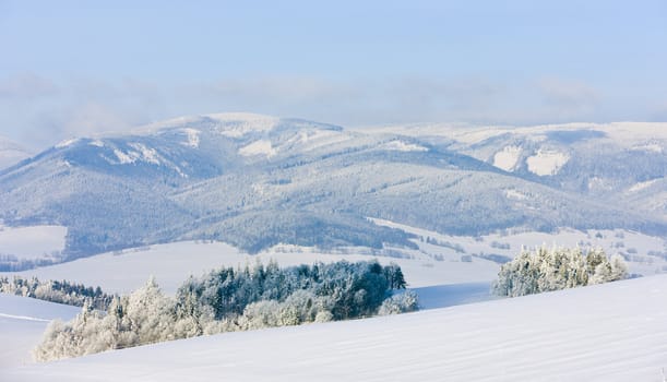 Jeseniky Mountains in winter, Czech Republic