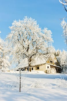 cottage in winter, Jeseniky, Czech Republic