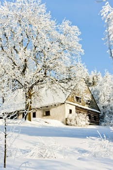 cottage in winter, Jeseniky, Czech Republic