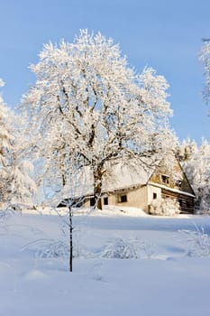 cottage in winter, Jeseniky, Czech Republic