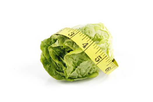 Small single fresh green salad lettace and yellow tape measure on a reflective white background