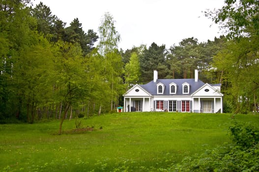 Alone house, lost in the forest. It stands on a hill in front of a green lawn. Spring landscape.