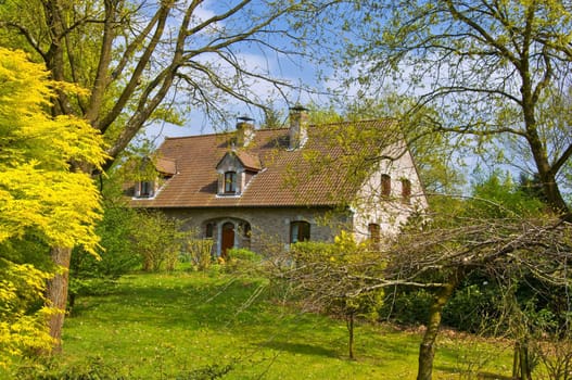 Alone abandoned house in the forest. House is hidden behind tree branches. Spring landscape. 