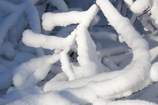 A branch of a tree covered with snow and ice.