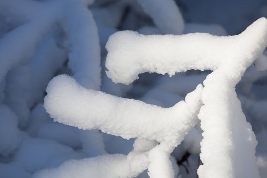 A branch of a tree covered with snow and ice.