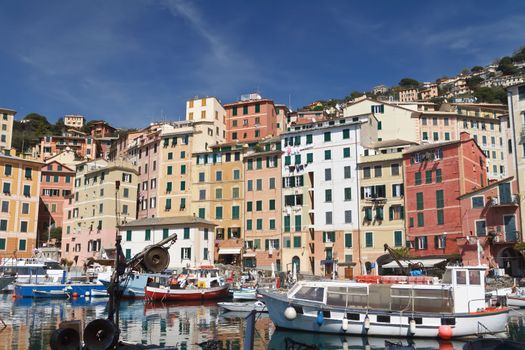 typical small port with fishing boats in Camogli, Italy