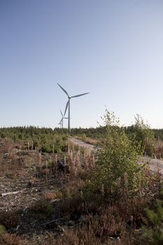 Modern windmill producing renewable energy ecologically.