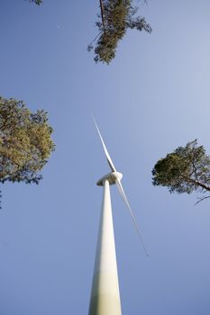 Modern windmill producing renewable energy ecologically.