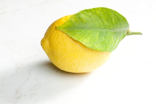 lemon with a leaf
