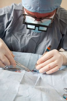 Veterniarian performing spay operation on small dog