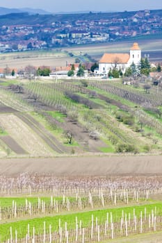 Kobyli with vineyards, Czech Republic
