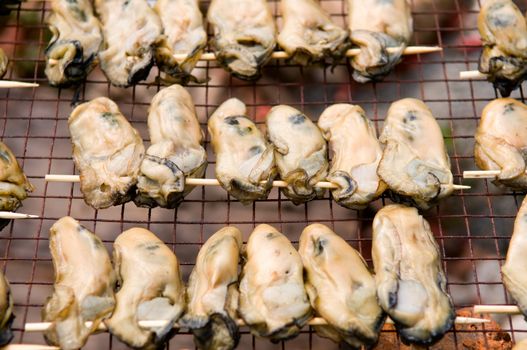 The line of oysters being sticked and dried