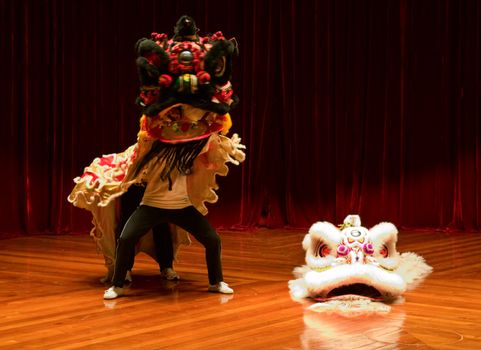 The traditional Chinese lion dance on stage