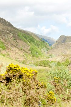 Glenshiel, Highlands, Scotland