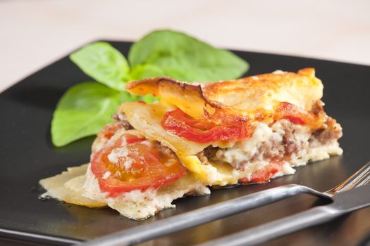 lasagne with minced turkey meat and tomatoes